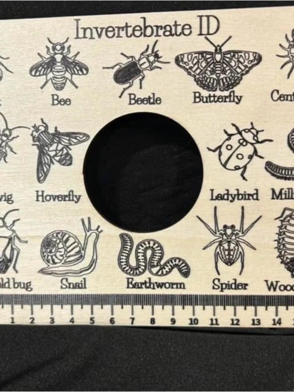 Insect identification ruler board Invertebrate ID Magnifier - Natural Wood